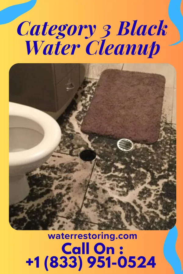 Category 3 Black Water Cleanup in Pratt, KS