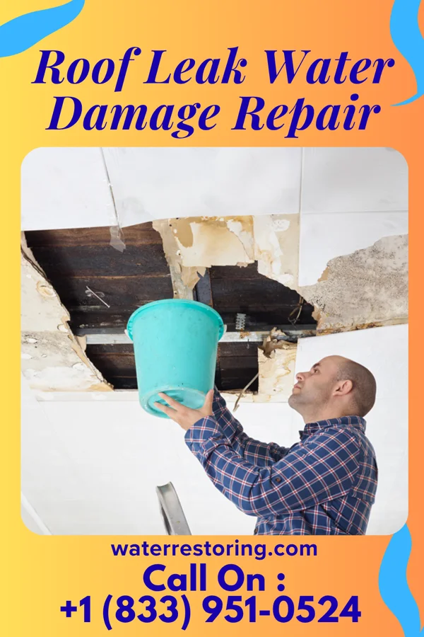 Roof Leak Water Damage Repair in Pratt, KS